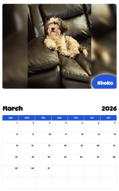 November 2025 - October 2026 Khoko - Pawidols Pet Calendar