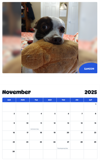 July 2025 - June 2026 Samson - Pawidols Pet Calendar