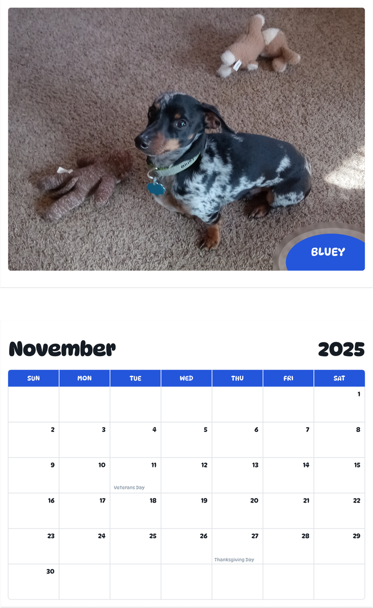 July 2025 - June 2026 Bluey - Pawidols Pet Calendar