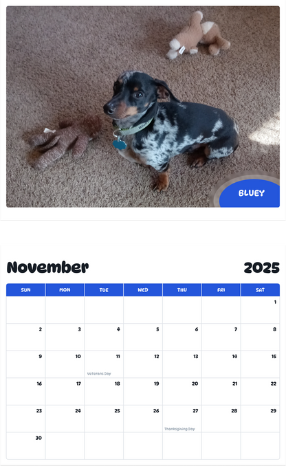 July 2025 - June 2026 Bluey - Pawidols Pet Calendar