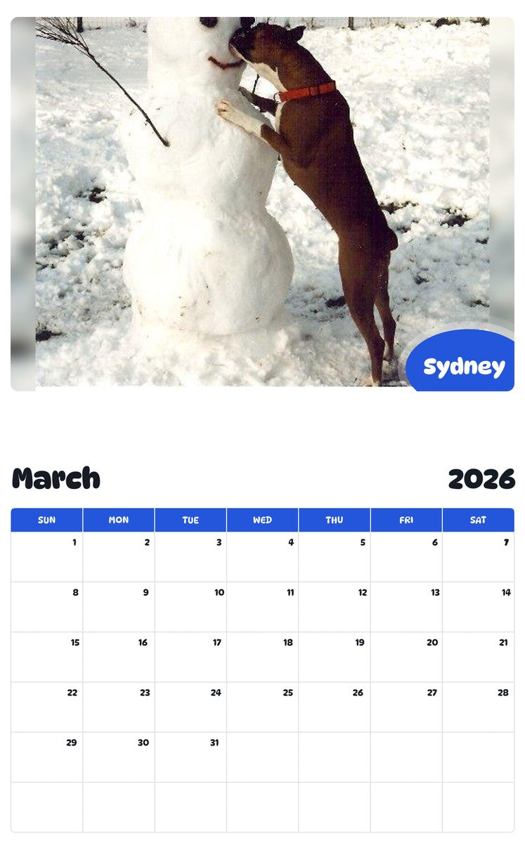 November 2025 - October 2026 Sydney - Pawidols Pet Calendar