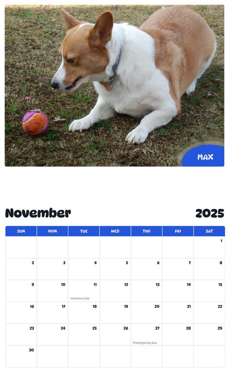July 2025 - June 2026 Max - Pawidols Pet Calendar