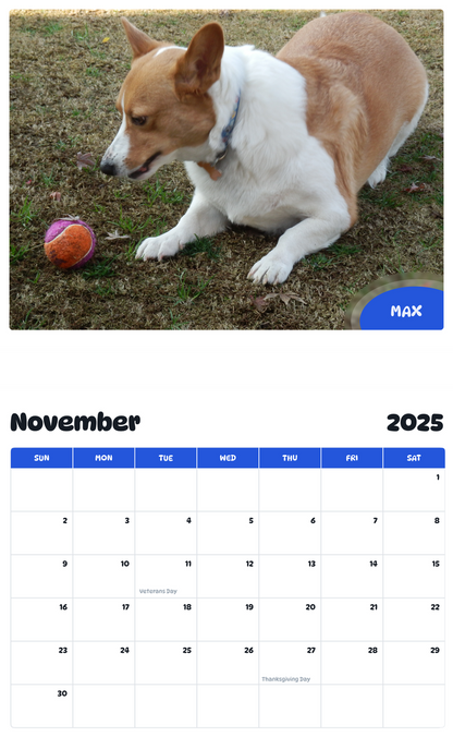 July 2025 - June 2026 Max - Pawidols Pet Calendar