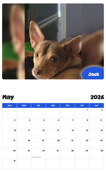 2026 - 2027 Jack - Pawidols Pet Calendar