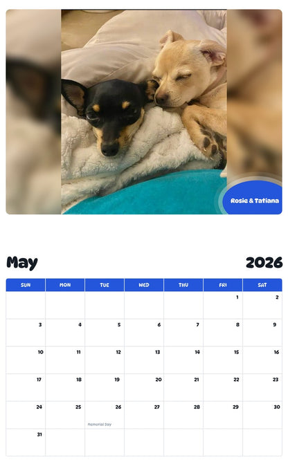 2026 - 2027 Rosie & Tatiana - Pawidols Pet Calendar