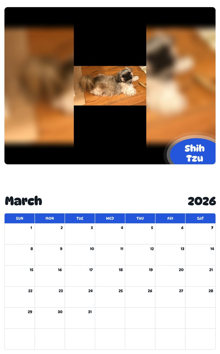 November 2025 - October 2026 Shih Tzu - Pawidols Pet Calendar