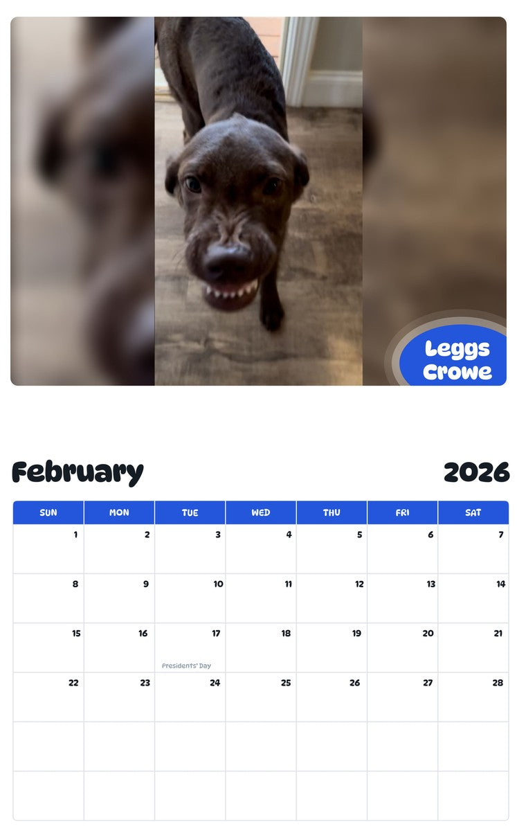 October 2025 - September 2026 Leggs Crowe - Pawidols Pet Calendar