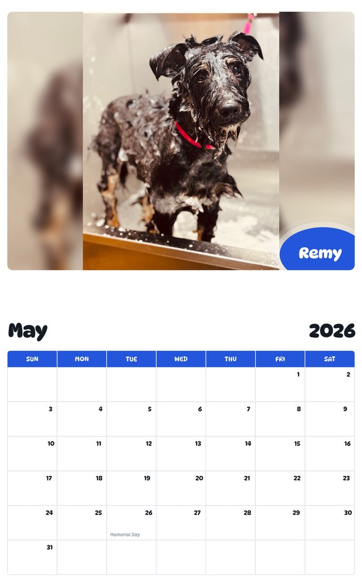 2026 - 2027 Remy - Pawidols Pet Calendar