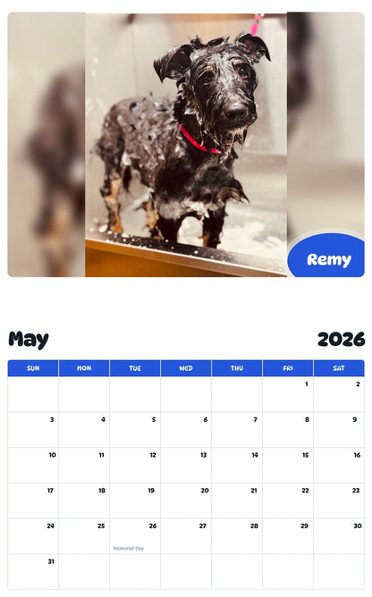 2026 - 2027 Remy - Pawidols Pet Calendar