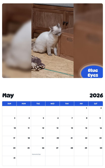 2026 - 2027 Blue Eyes - Pawidols Pet Calendar