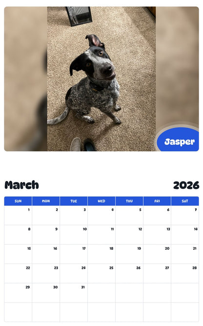 November 2025 - October 2026 Jasper - Pawidols Pet Calendar