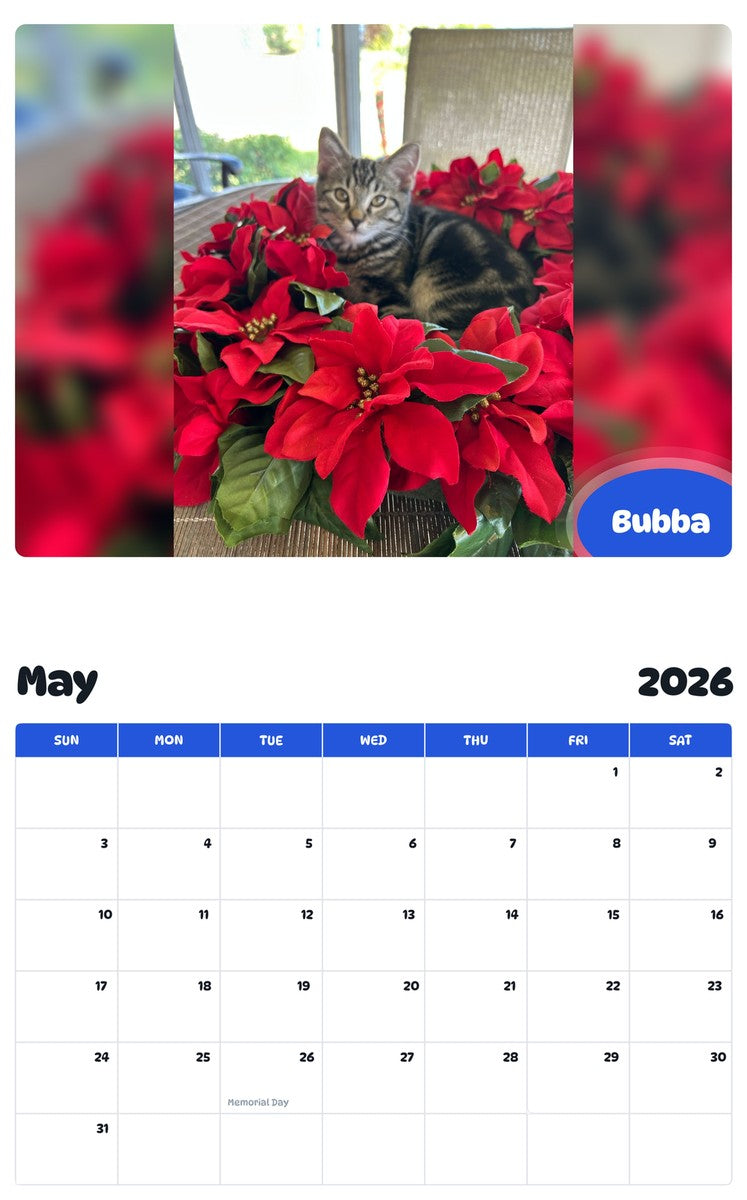2026 - 2027 Bubba - Pawidols Pet Calendar
