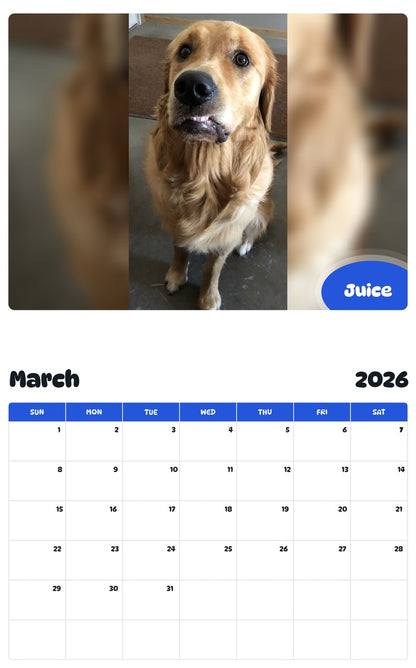 November 2025 - October 2026 Juice - Pawidols Pet Calendar