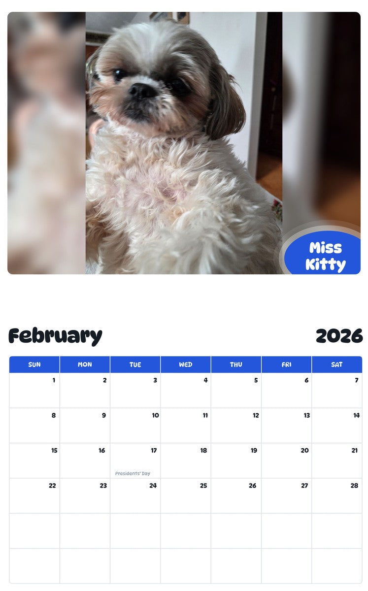 October 2025 - September 2026 Miss Kitty - Pawidols Pet Calendar