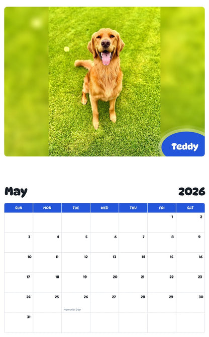 2026 - 2027 Teddy - Pawidols Pet Calendar