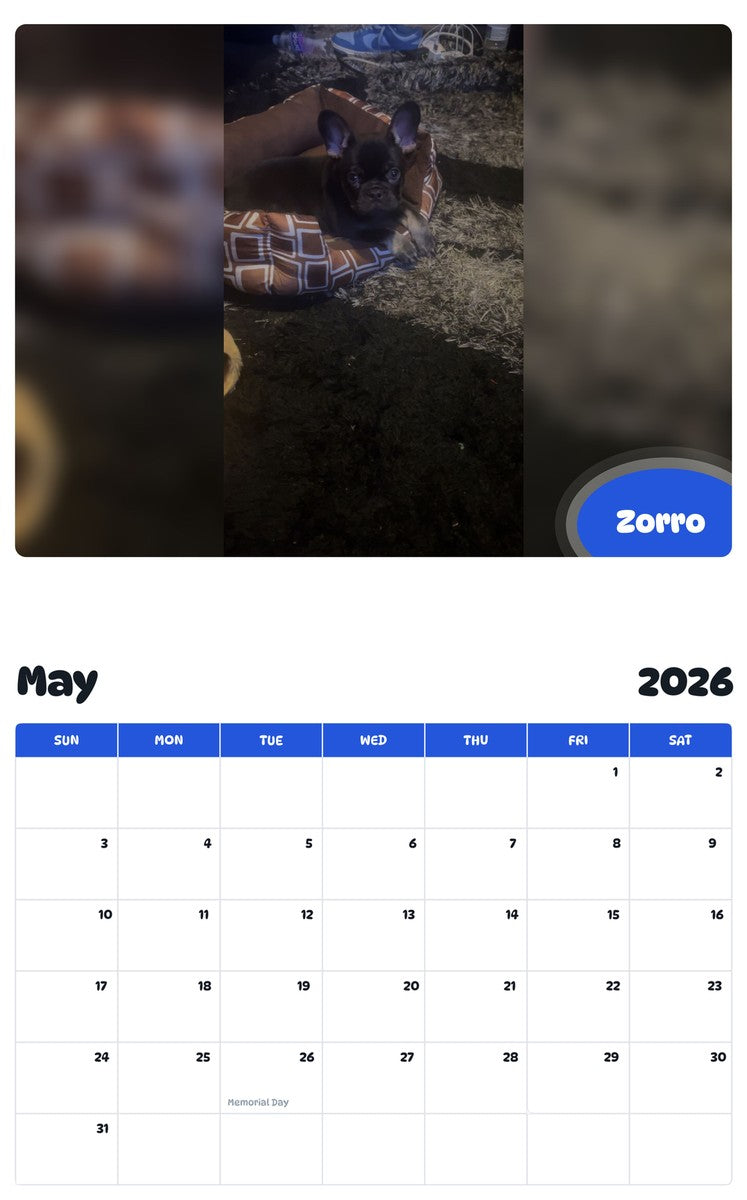 2026 - 2027 Zorro - Pawidols Pet Calendar