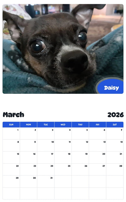 November 2025 - October 2026 Daisy - Pawidols Pet Calendar
