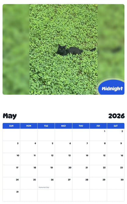 2026 - 2027 Midnight - Pawidols Pet Calendar