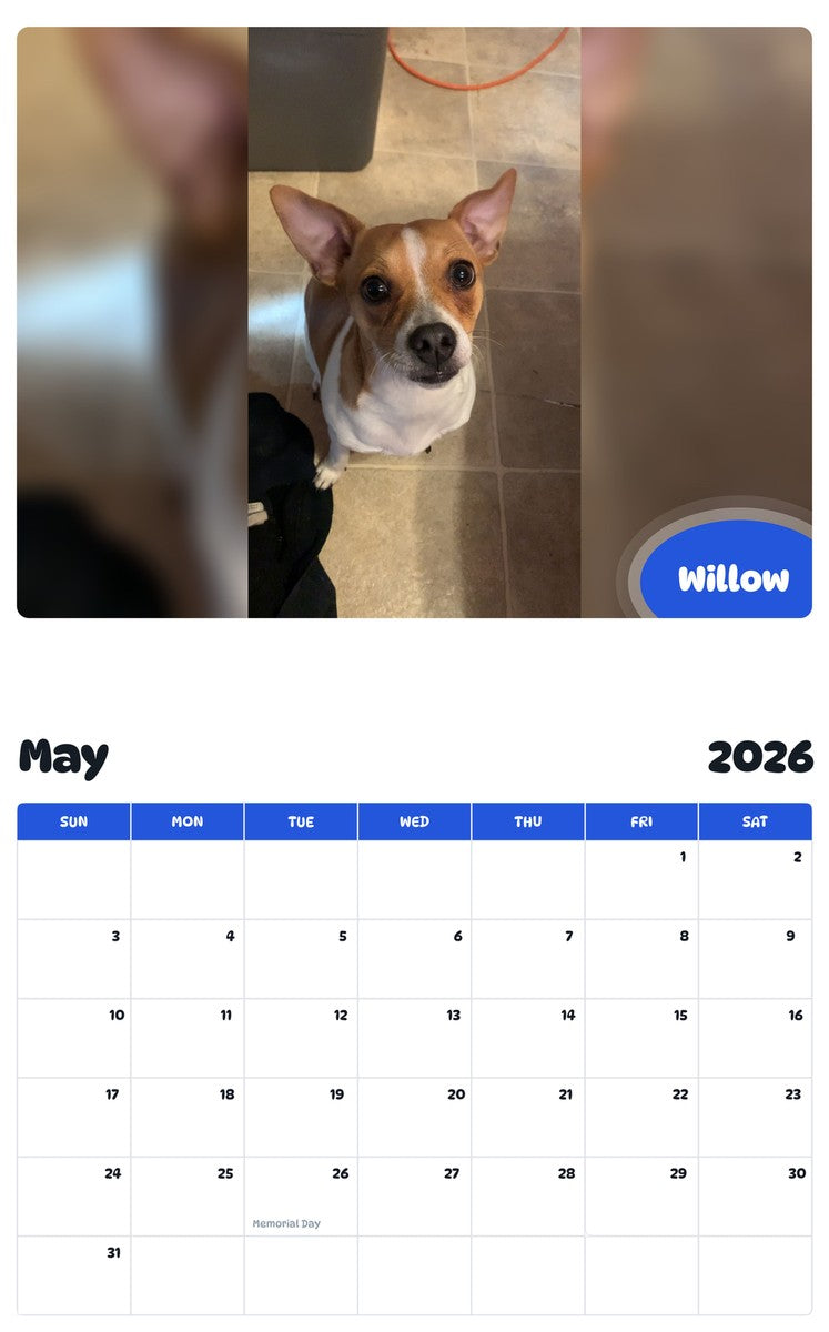 2026 - 2027 Willow - Pawidols Pet Calendar