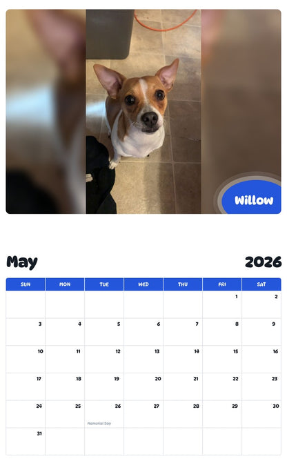 2026 - 2027 Willow - Pawidols Pet Calendar