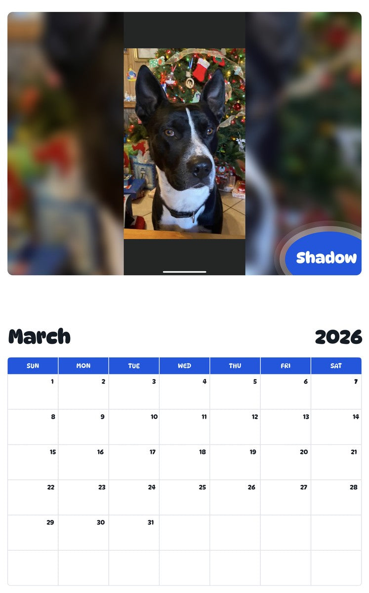 November 2025 - October 2026 Shadow - Pawidols Pet Calendar