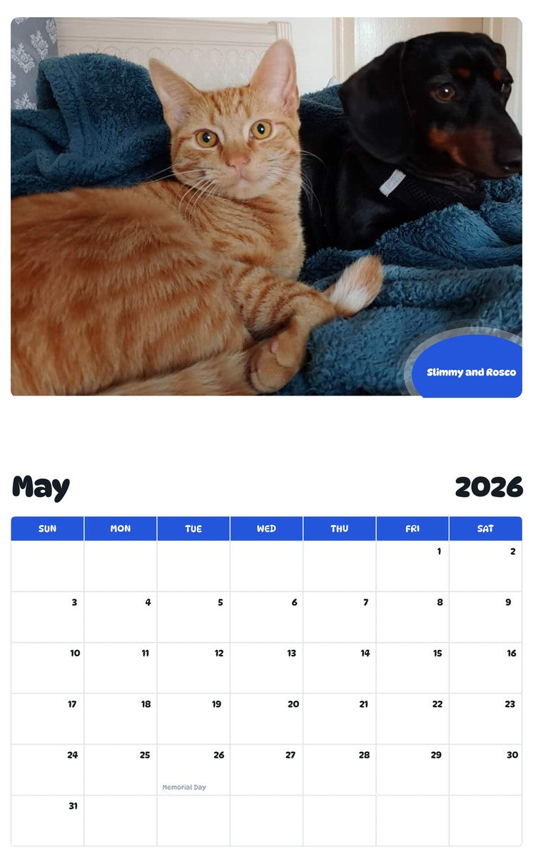 2026 - 2027 Slimmy and Rosco - Pawidols Pet Calendar