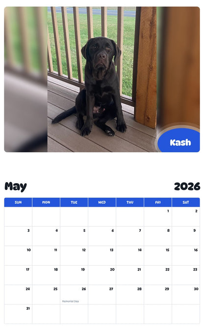 2026 - 2027 Kash - Pawidols Pet Calendar
