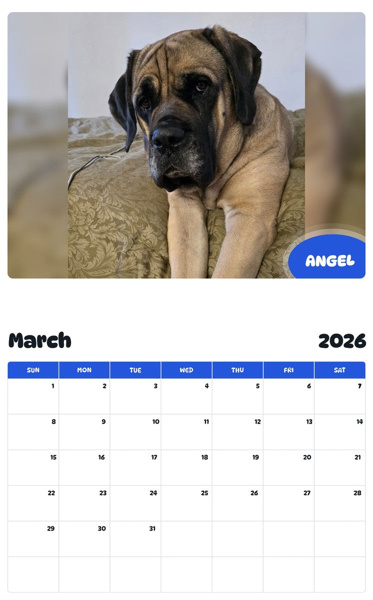 November 2025 - October 2026 ANGEL - Pawidols Pet Calendar