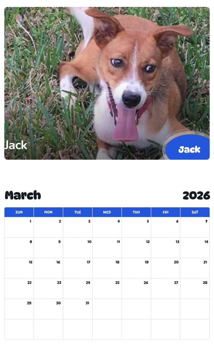 November 2025 - October 2026 Jack - Pawidols Pet Calendar