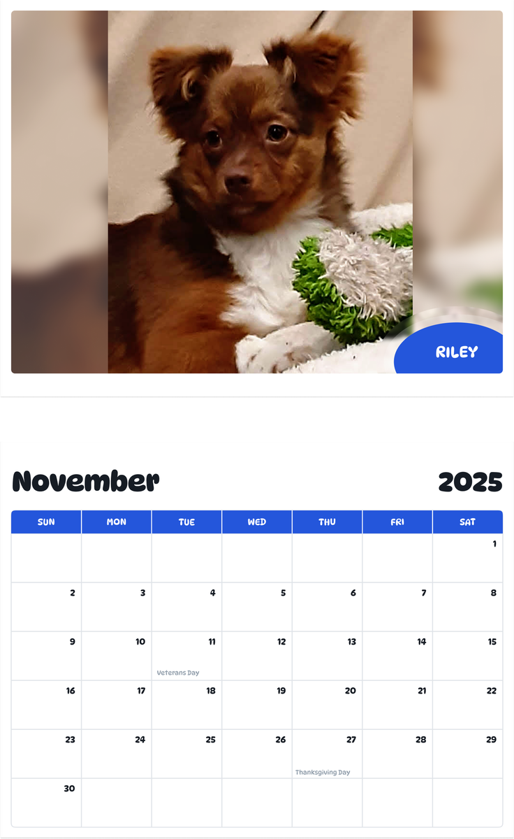 July 2025 - June 2026 Riley - Pawidols Pet Calendar