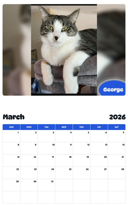 November 2025 - October 2026 George - Pawidols Pet Calendar