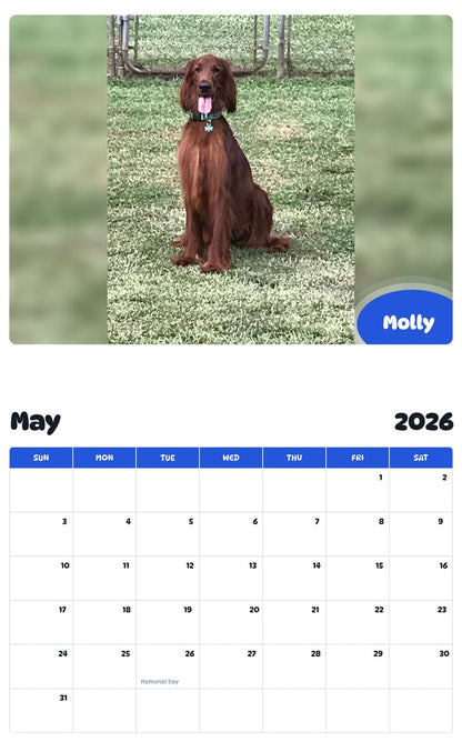 2026 - 2027 Molly - Pawidols Pet Calendar