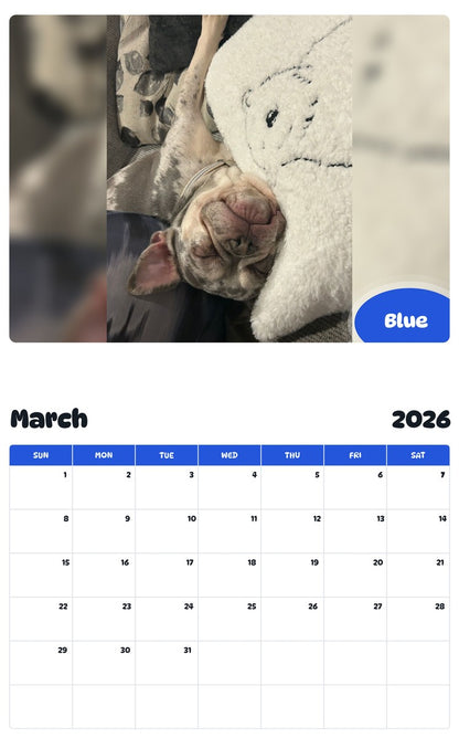 November 2025 - October 2026 Blue - Pawidols Pet Calendar
