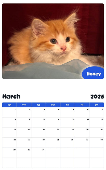 November 2025 - October 2026 Honey - Pawidols Pet Calendar