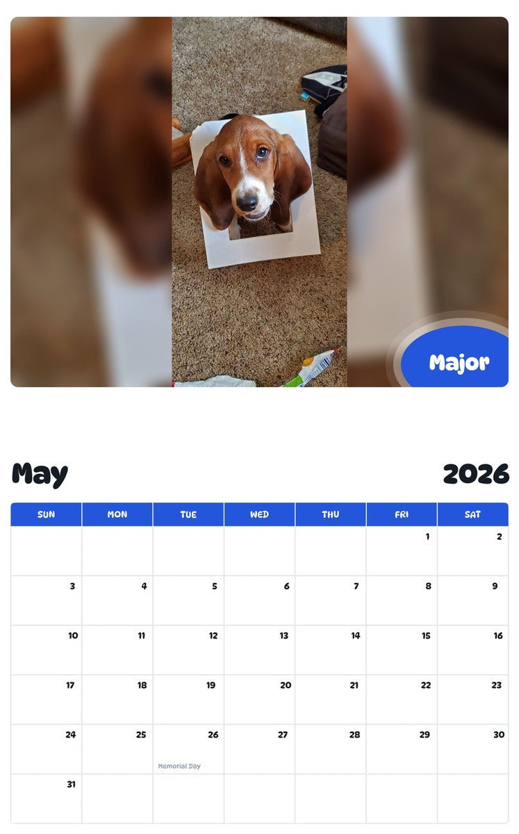 2026 - 2027 Major - Pawidols Pet Calendar