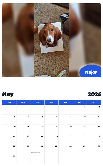 2026 - 2027 Major - Pawidols Pet Calendar
