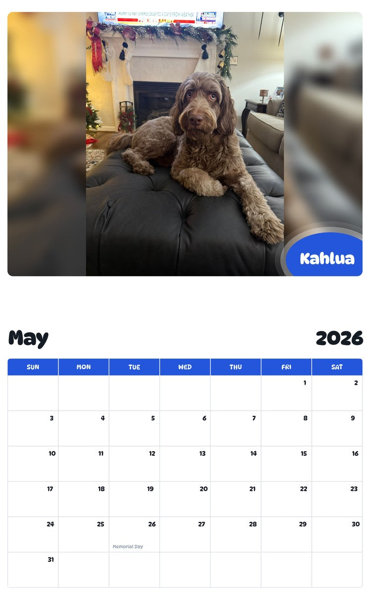 2026 - 2027 Kahlua - Pawidols Pet Calendar