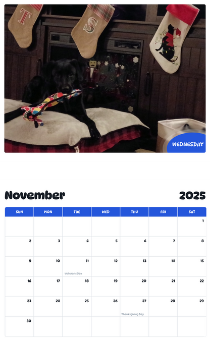 July 2025 - June 2026 Wednesday - Pawidols Pet Calendar
