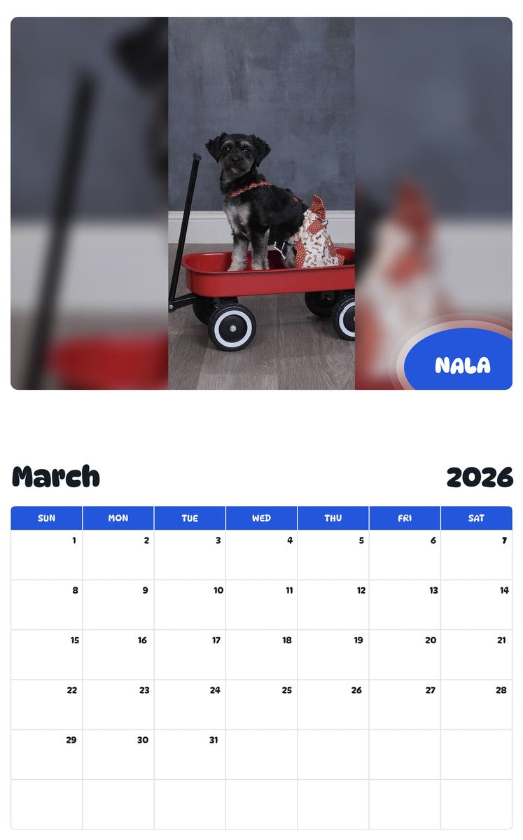 November 2025 - October 2026 NALA - Pawidols Pet Calendar