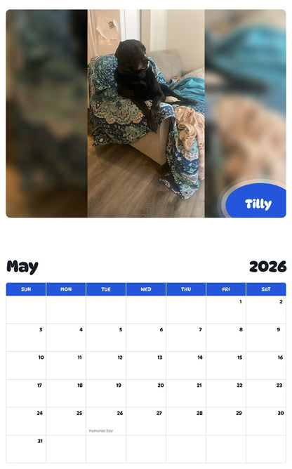 2026 - 2027 Tilly - Pawidols Pet Calendar
