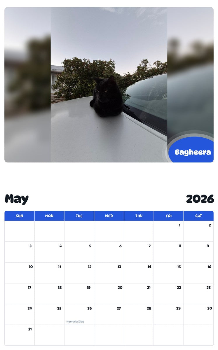 2026 - 2027 Bagheera - Pawidols Pet Calendar