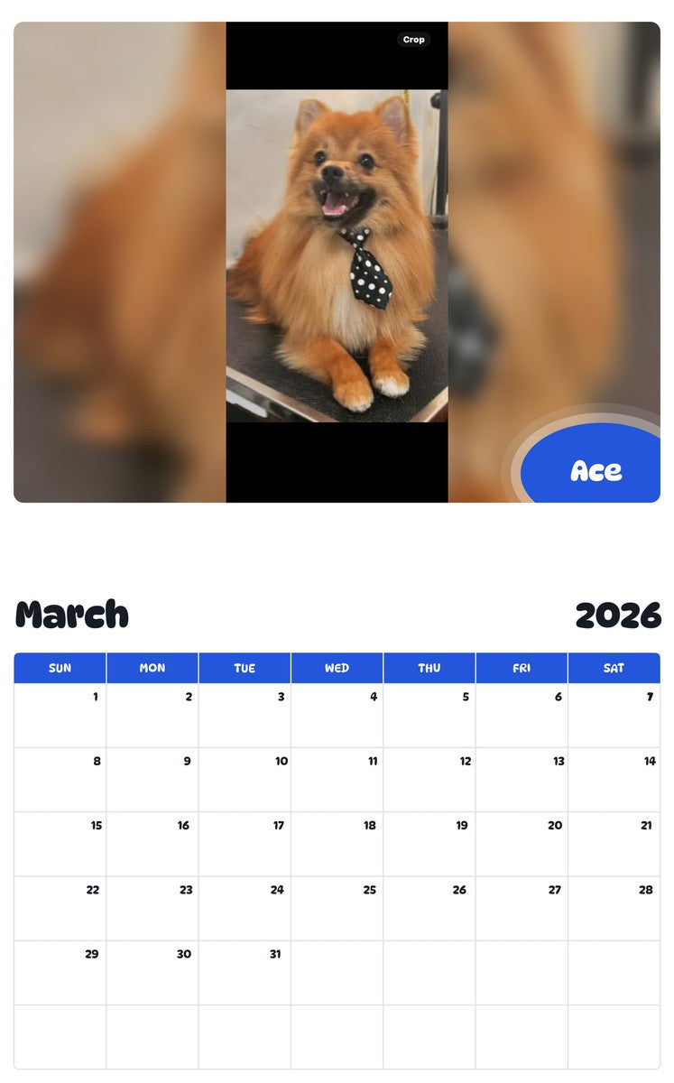 November 2025 - October 2026 Ace - Pawidols Pet Calendar