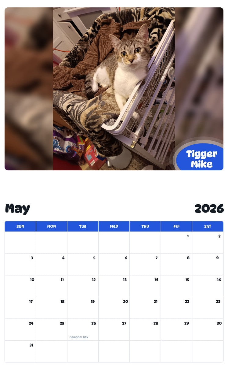 2026 - 2027 Tigger Mike - Pawidols Pet Calendar