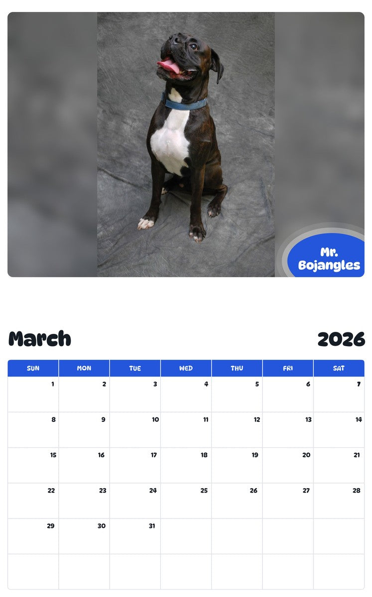 November 2025 - October 2026 Mr. Bojangles - Pawidols Pet Calendar