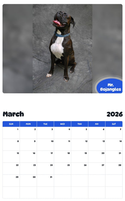 November 2025 - October 2026 Mr. Bojangles - Pawidols Pet Calendar