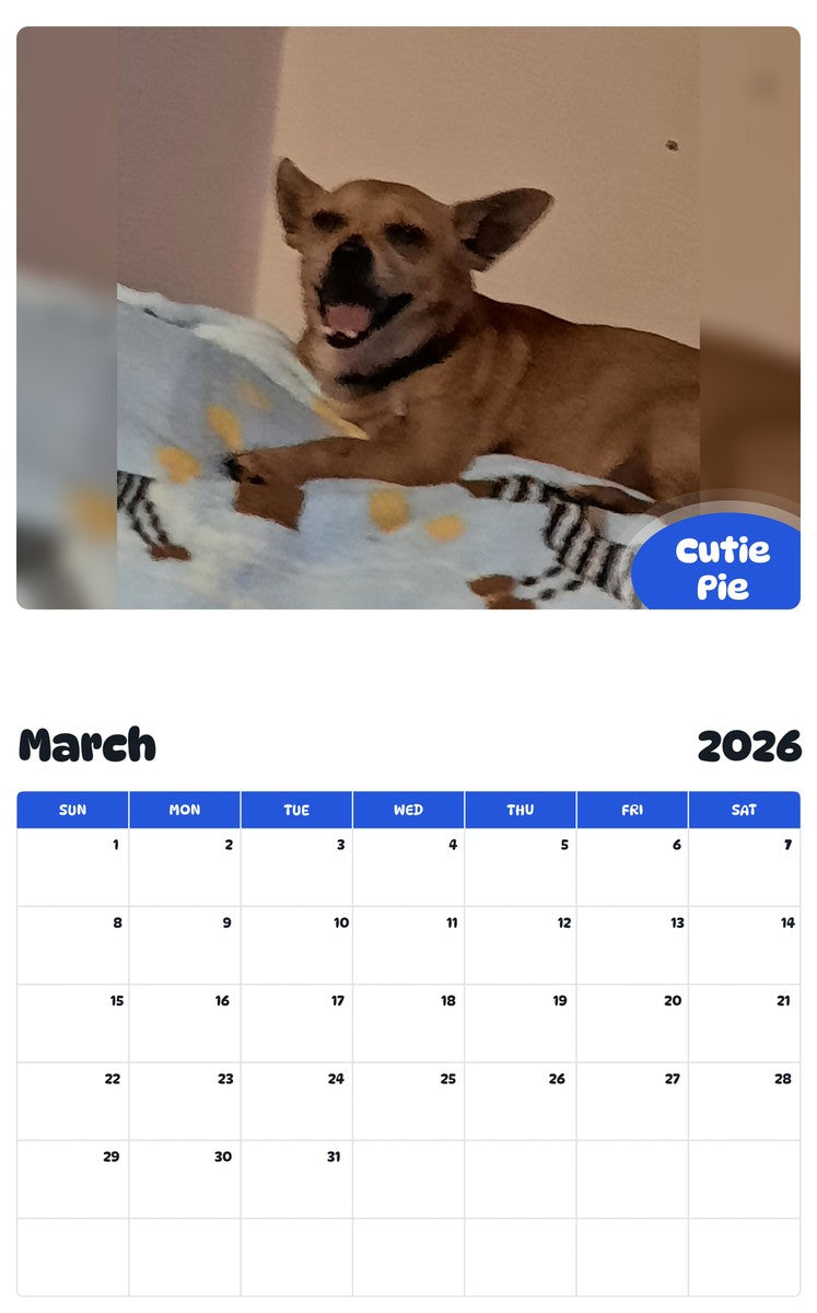 November 2025 - October 2026 Cutie Pie - Pawidols Pet Calendar