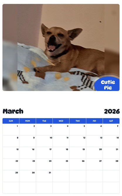 November 2025 - October 2026 Cutie Pie - Pawidols Pet Calendar