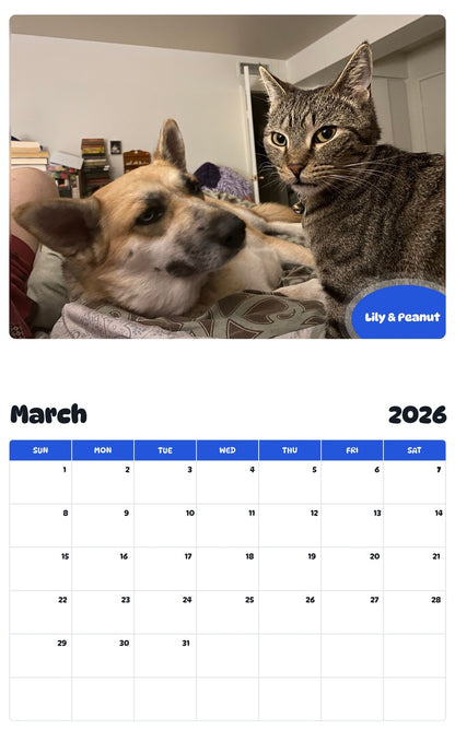 November 2025 - October 2026 Lily & Peanut - Pawidols Pet Calendar