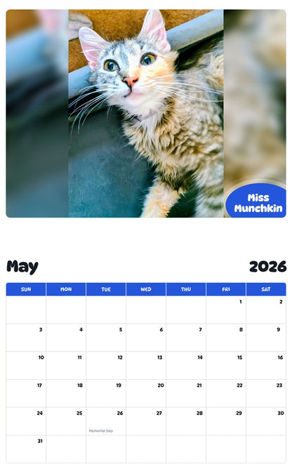 2026 - 2027 Miss Munchkin - Pawidols Pet Calendar