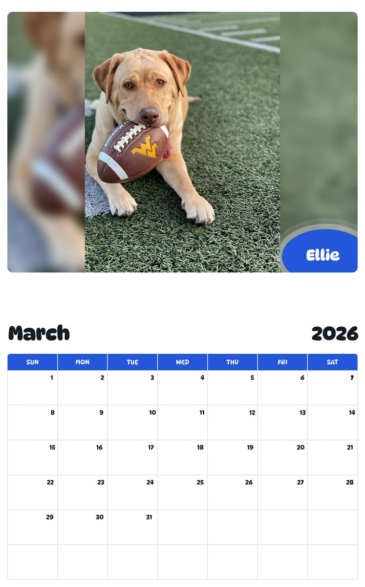 November 2025 - October 2026 Ellie - Pawidols Pet Calendar